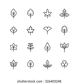 A set of vector icon for fall, autumn, memory, ginkgo, maple.