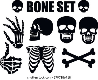 set vector icon flat, skeleton, stencil 