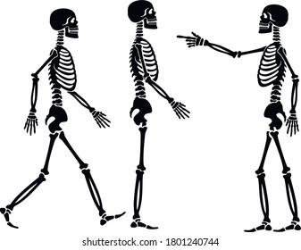 set, vector icon flat, skeleton, stencil