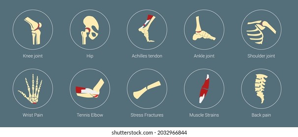 Set of vector icons.. Anatomy and Rehabilitation. Spine Neck Elbow Wrist Heel Hip Foot Knee Shoulder