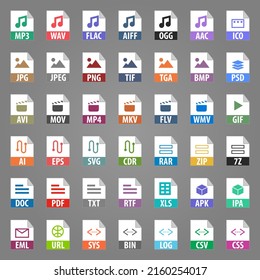 Set of vector icons audio, video, vector, programming, photo, text file types