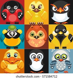 Set of vector icons of birds. Square vector image of cartoon birds.