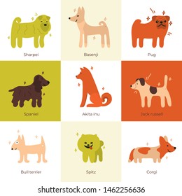 Set of vector icons with dogs. Illustration of pug, basenji, sharpie, spaniel, akita inu, jack russell, bull terrier, spitz, corgi. Design for pet shop, styling, washing, grooming salon, vet clinic.