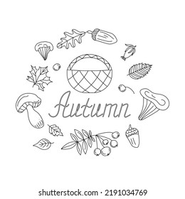 Set of vector icons in doodle style. Isolated design elements, basket, mushrooms, berries and leaves. Isolated background. 