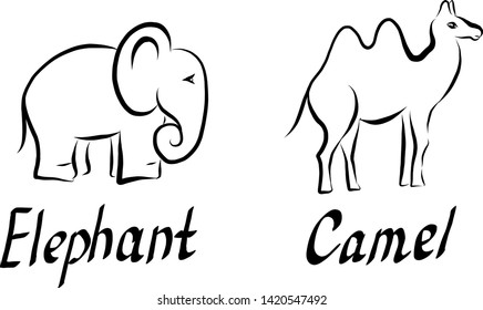 Set of vector icons of elephant and camel