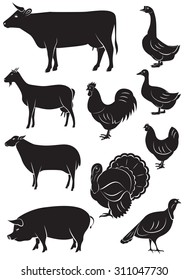 set of vector icons with farm animals and birds