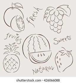 Set of vector icons  of fruit . Vector illustration .