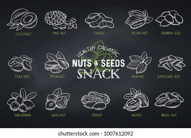 Set vector icons hand drawn nuts and seeds. Cola nut, pumpkin seed, peanut and sunflower seeds. Pistachio, cashew, coconut, hazelnut and macadamia. Illustration in chalkboard sketch style.