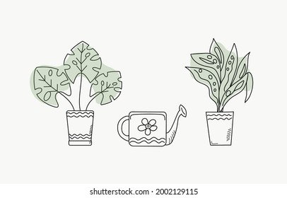Conjunto de iconos vectoriales de plantas domésticas en ollas y latas de riego. Estilo Doodle. Dibujo en contorno negro sobre fondo blanco aislado con manchas verdes.