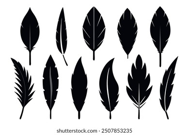 A set of vector icons illustrating different types of feathers. Perfect for use in nature designs, decorative projects, and cultural content.