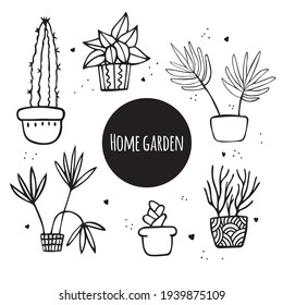 A set of vector icons with indoor plants. Icons drawn by hand. Succulents in slides with a variety of ornaments. Isolated on white background.