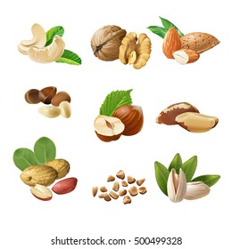 Set vector icons of nuts