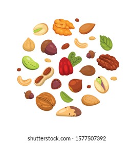 Set vector icons nuts in cartoon style. Nut food collection. Peanut, hazelnut, pistachio, cashew, pecan, walnut, brazil nut, almond and acorn