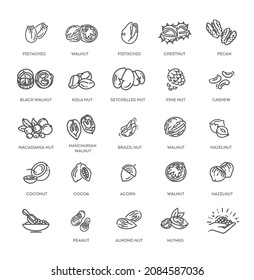 Set vector icons nuts. Vector collection