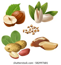 Set of vector icons of nuts isolated on white