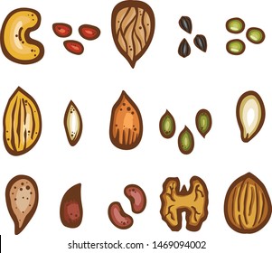 Set vector icons nuts and seeds