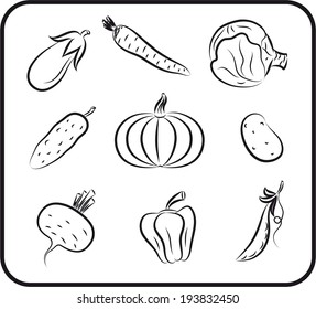 set of vector icons on the theme of vegetables