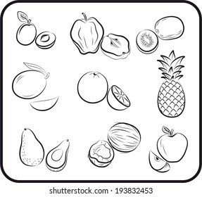 set of vector icons on the theme of fruit