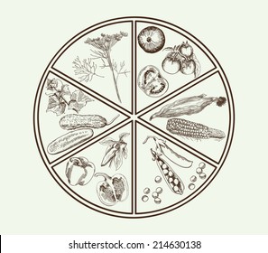 set of vector icons on the theme of vegetables