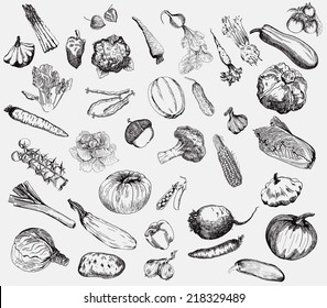 set of vector icons on the theme of vegetables