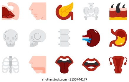 Set of Vector Icons Related to Human Body. Contains such Icons as Muscle, Nose, Pancreas, Pelvis, Skull, Skin and more.