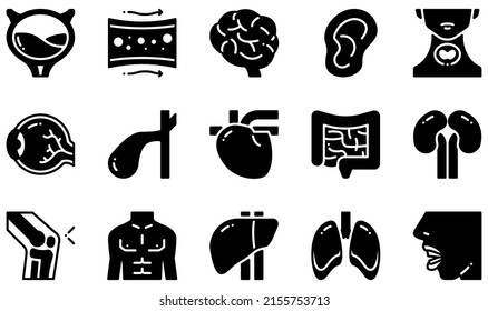 Set of Vector Icons Related to Human Body. Contains such Icons as Bladder, Blood Vessel, Brain, Ear, Eye, Heart and more.