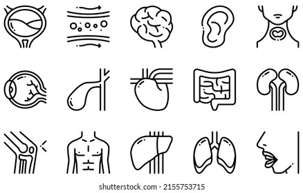 Set of Vector Icons Related to Human Body. Contains such Icons as Bladder, Blood Vessel, Brain, Ear, Eye, Heart and more.