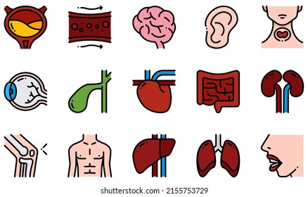 Conjunto de íconos vectores relacionados con el cuerpo humano. Contiene íconos como la escalera, el vaso sanguíneo, el cerebro, el oído, el ojo, el corazón y más.