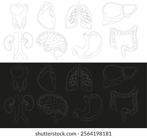 Set of vector icons related to human organs, pixel accurate, with the ability to edit stroke and scale on black and white background.