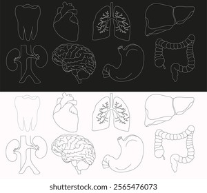 Set of vector icons related to human organs, pixel accurate, with the ability to edit stroke and scale on black and white background.