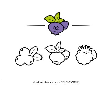 Set of vector icons, sign and symbols with flat elements of berries for modern concepts, web and apps. Collection of infographics logos and pictograms. Northern berries: lingonberries, cloudberries, b