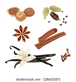 Set vector icons spices. Cardamom, star anise, nutmeg, vanilla flower and sticks, cloves, cinnamon. Vector Illustration.