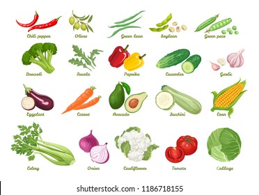 Set von Vektorsymbole Gemüse. Chili, Oliven, Bohnen, Sojabohnen, Erbsen, Broccoli, Arugula, Paprika, Gurken, Knoblauch, Auberginen, Karotten, Avocado, Zucchini, Mais, Sellerie, Zwiebeln, Blumenkohl, Tomate, Kohl.