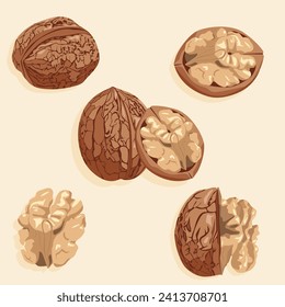 Set of vector icons of walnuts in shell and without it. Realistic vector image of a nut. Food icons.