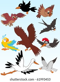 Set of vector illustrated birds - kid style