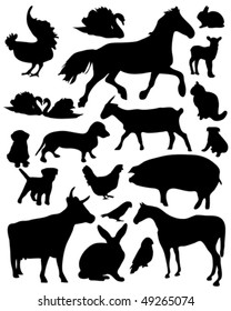 Set of vector illustrated domestic animals silhouettes