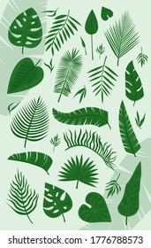 
Set of vector illustrated tropical leaves. A tropical forest.