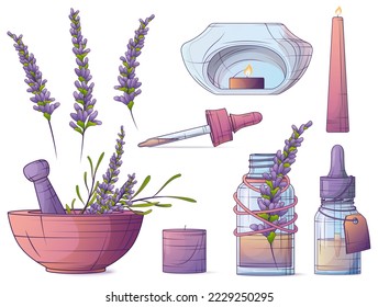 Conjunto de ilustraciones vectoriales de elementos aromaterapia. Caña, lámpara aroma. Aceite esencial de lavanda. Botella de vidrio con cuentagotas, pipeta. Cosmética, perfumería, aromaterapia.