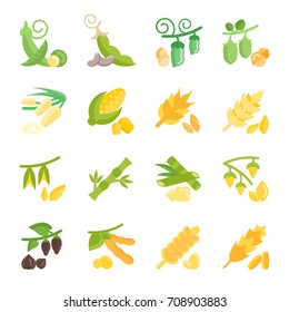 Set vector illustration of beans and cereals. Flat elements on white background