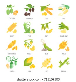 Set vector illustration of beans and cereals. Flat elements on white background