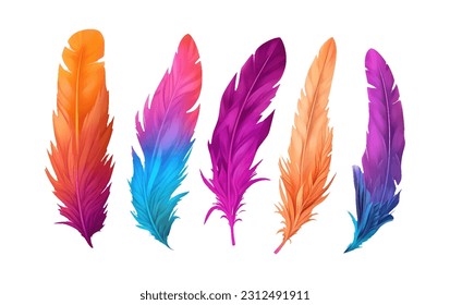 set vector illustration of bright color feather of tropical bird isolated on white background