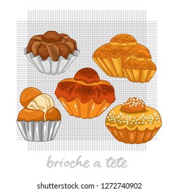 set vector illustration of brioche a tete bread, vector bread