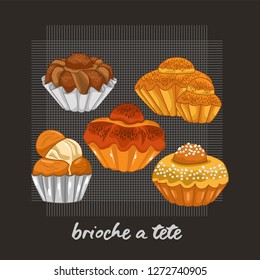 set vector illustration of brioche a tete bread, vector bread