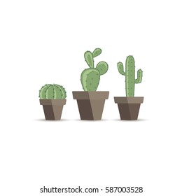 Set vector illustration of a cactus on a white background. Cactus in a flower pot