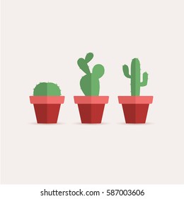 Set vector illustration of a cactus on a white background. Cactus in a flower pot