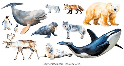 set of vector illustration of a cartoon arctic animals animation, painted with watercolor, isolated on a white background