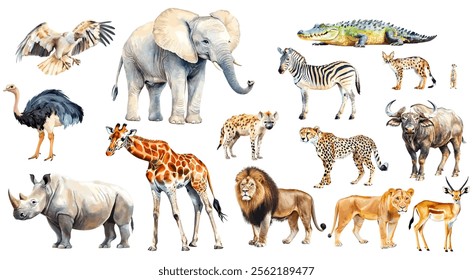 set of vector illustration of a cartoon savanna animals animation, painted with watercolor, isolated on a white background