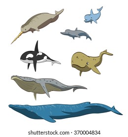 Set of vector illustration of cartoon whales and dolphins. 