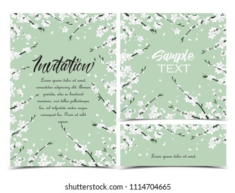 Set vector illustration of decorative branches with white flowers. Spring blossom.