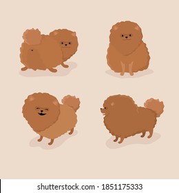 
Set of vector illustration. Dog breed: Spitz. Cute cheerful puppy